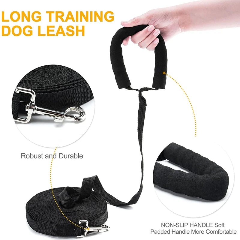 Recall Training Agility Lead