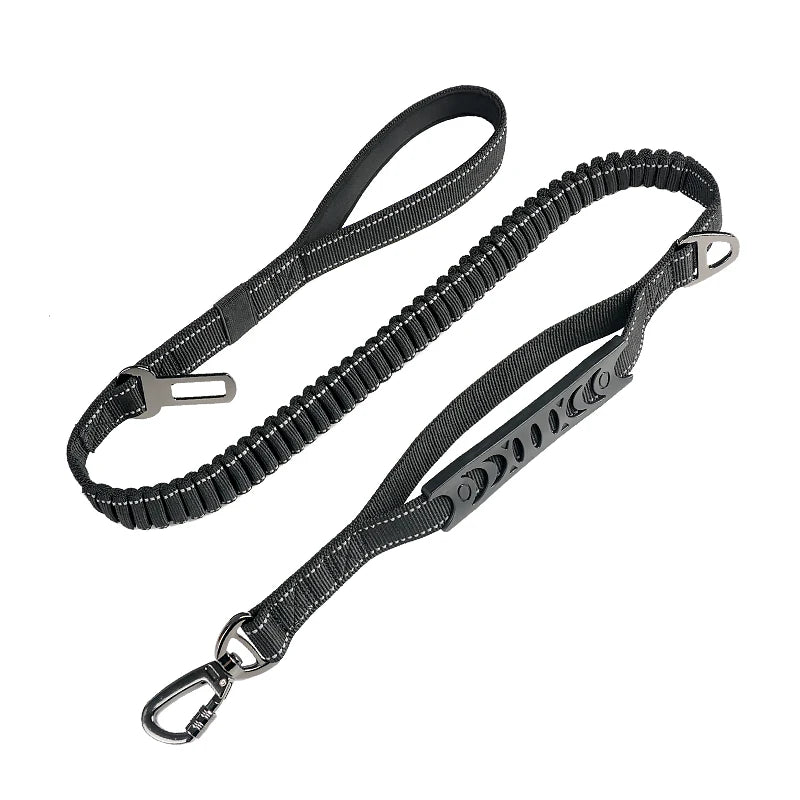 Leads / Leashes