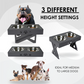 Elevated Dog Feeder Station