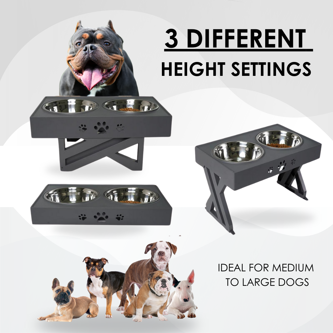 Elevated Dog Feeder Station
