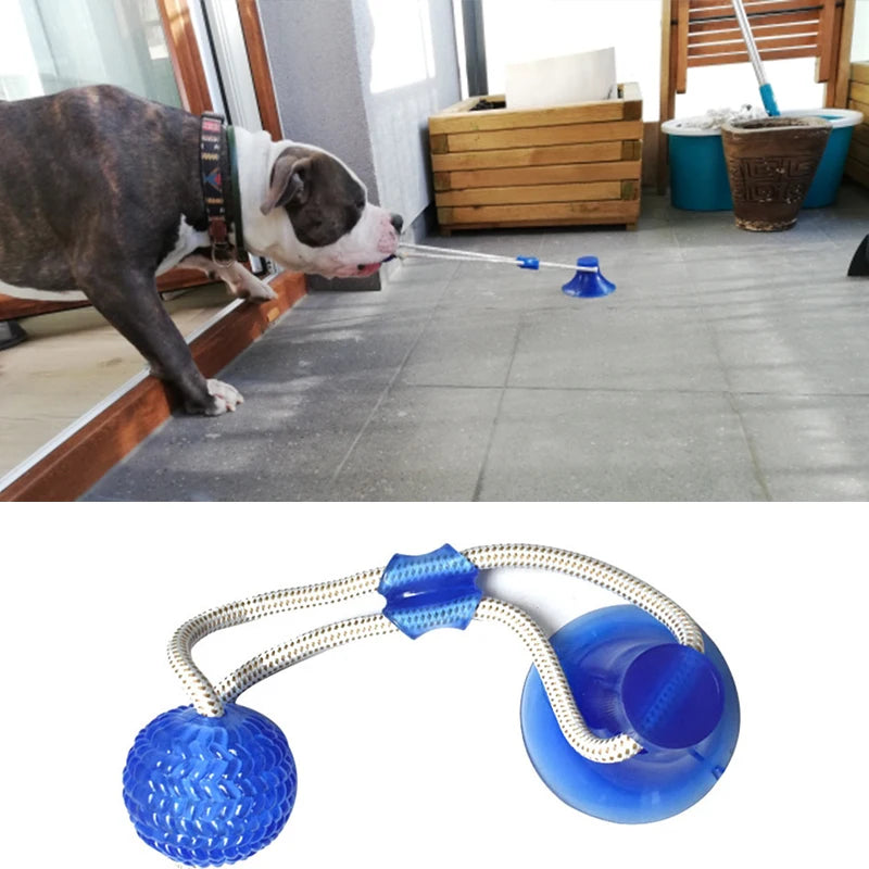 Suction Cup Elastic Rope Ball Tug