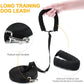 Recall Training Agility Lead
