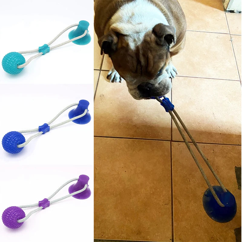 Suction Cup Elastic Rope Ball Tug
