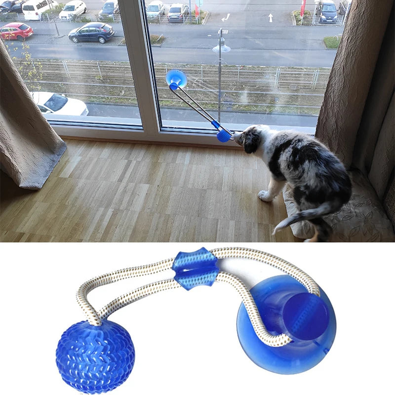 Suction Cup Elastic Rope Ball Tug