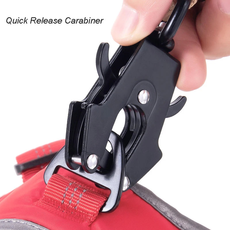 Tactical Bungee Dog Lead with Car Seatbelt