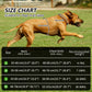MASBRILL Dog Harness