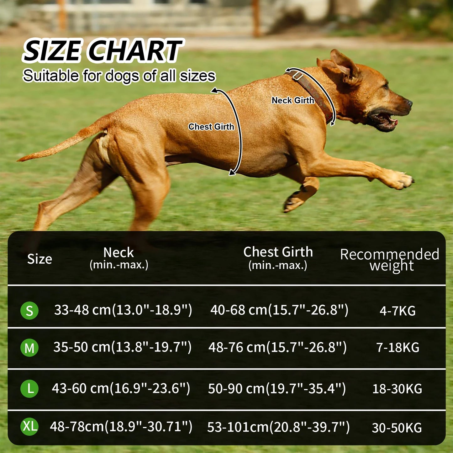 MASBRILL Dog Harness